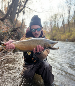 Casting for trout and salmon in New York.